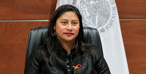 Sanadora Celeste Ascencio lamenta incidente en Edomex y rechaza división entre la lucha feminista y derechos LGBTQ+