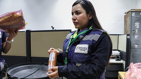 Prohíben jamón serrano y salchichas de España por brote de peste porcina