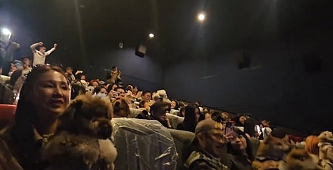 VIRAL: Llevan a perritos al cine a ver Zootopia 2, en China