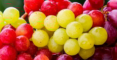 La uva llegó a México gracias a los misioneros españoles