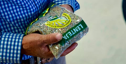 Lenteja michoacana se venderá en 25 mil tiendas del Bienestar en todo el país: Sader