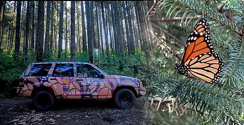 Tirolesa, 4x4 y mariposas monarca: el combo turístico de Senguio