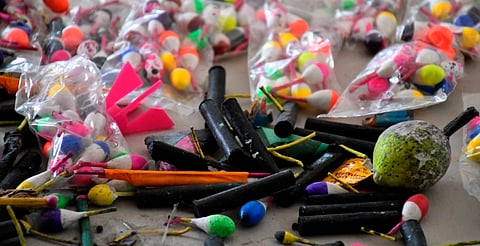 Piden prohibir pirotecnia con ruido en Michoacán por daños a personas y animales