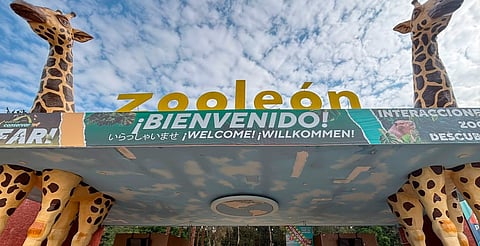 Ordenan cierre inmediato del Zoológico de León por maltrato animal