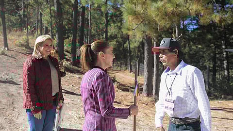 Claudia Sheinbaum devuelve tierras al pueblo Ódami; suman 6 mil hectáreas restituidas