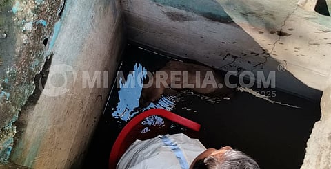 Perrito es salvado tras caer en un pozo de cinco metros en Apatzingán