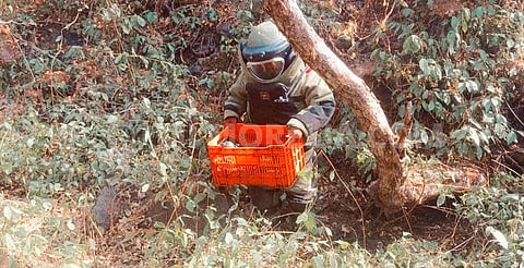 Ejército asegura explosivos y detiene a dos personas en operativo en Buenavista