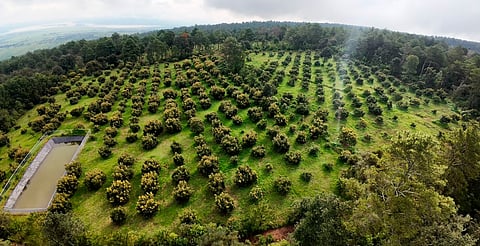 Así funcionará el ‘Guardián del Agua’, el satélite que cuidará los recursos hídricos del estado