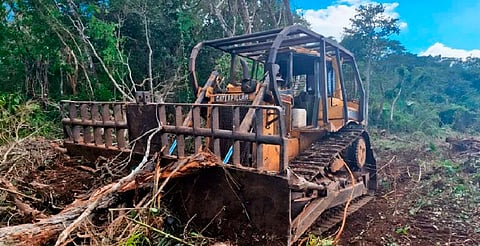 Municipios como Tekax y Peto concentran la devastación sin permisos vigentes