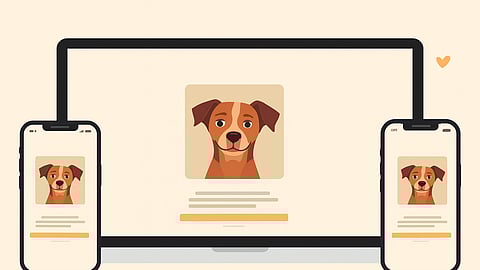 Tu mascota ya no estará sola: congreso activa protocolo de búsqueda oficial