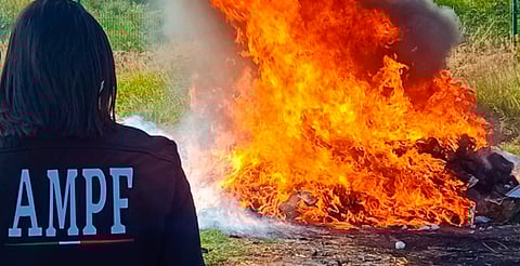 FGR incinera más de 300 kilos de drogas decomisadas en Michoacán