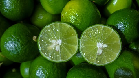 Michoacán, líder en producción de limón en México