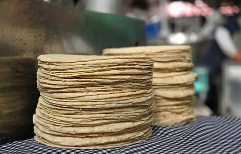 Confirman aumento en precio de tortilla; llegaría a $30 el kilo en algunos estados