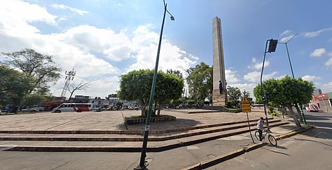 VIDEO: sorprenden familias de zopilotes en árboles del monumento, en Morelia