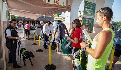 Controles sanitarios en aeropuertos y fronteras: nuevas medidas para proteger el campo mexicano