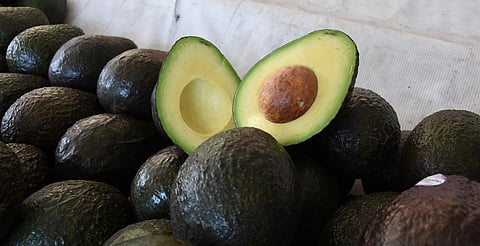 Michoacán proyecta iniciar con el Certificado Laboral para la Agroexportación en 2026