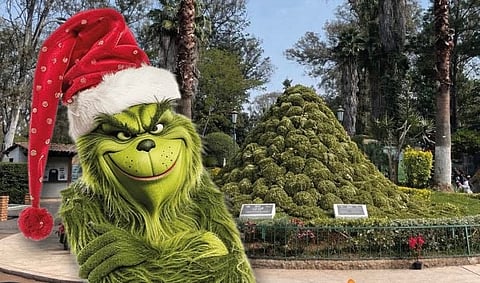 ¡El Grinch dejó su desastre en el Zoo de Morelia! Ayúdale a Santa a arreglarlo