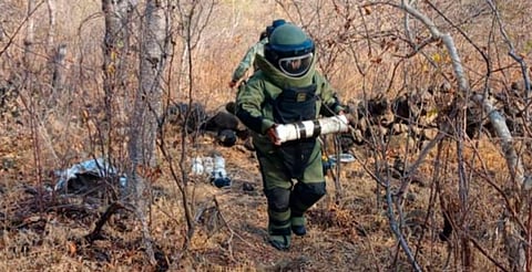 SSP desactiva 12 artefactos explosivos y desmantela campamento ilícito en Buenavista