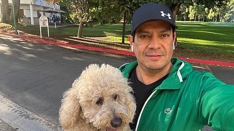 Llama PVEM a evitar regalar mascotas en Día de Reyes