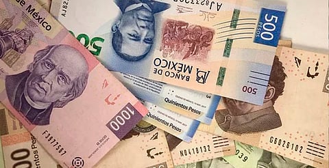 La UMA subirá a partir de febrero; trámites y multas costarán más