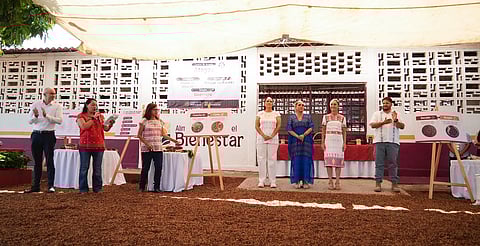 Sheinbaum anuncia impulso a la producción de jamaica como parte de Alimentación para el Bienestar