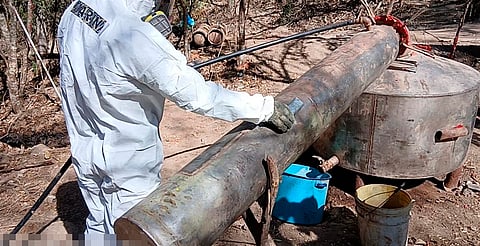 Aseguran 500 kilos de precursores químicos en laboratorio clandestino en Michoacán