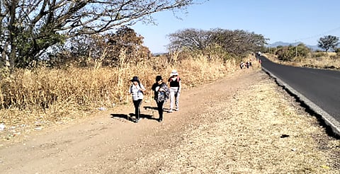 ¿Irás como peregrino a visitar al Señor de Carácuaro? Estas son las recomendaciones