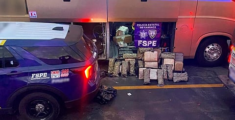Hallan más de 38 mil dosis de droga en autobús sobre la Morelia-Valtierrilla; conductor quedó detenido