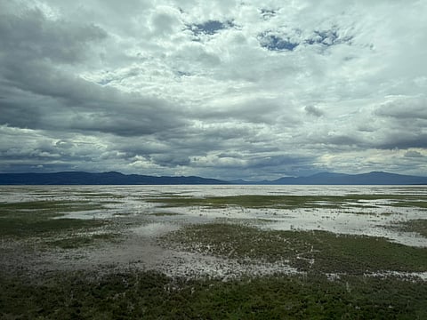 75% del planeta enfrenta escasez de agua; el mundo entra en "bancarrota hídrica": ONU