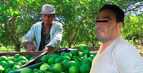 Las amenazas y multas alcanzaban hasta 200 mil pesos por incumplimiento