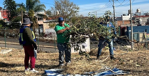 Gobierno de Morelia atiende área verde en Cumbres del Quinceo con jornada integral de mantenimiento