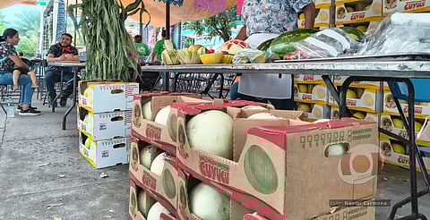 La 14ª Feria del Melón refleja esperanza y unidad en la Tierra Caliente