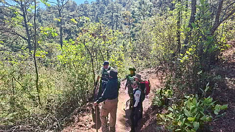 Búsqueda de personas en Morelia se realiza con apoyo policial y saldo blanco