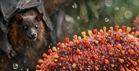 Su mortalidad puede alcanzar hasta 75%