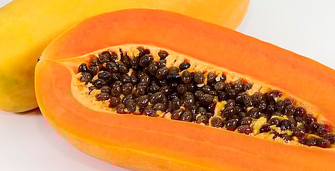 Desayunar papaya; el hábito sencillo que mejora tu digestión