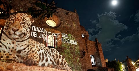 Picnic y videomapping promueven la protección del jaguar en Michoacán