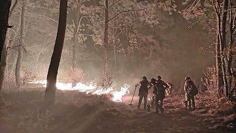 Conafor reporta a Michoacán en segundo lugar nacional por incendios forestales