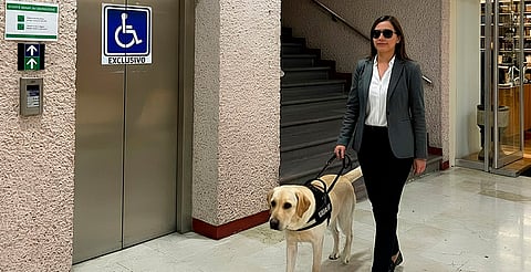 Poder Judicial abre sus puertas a animales de servicio, asistencia y/o terapia que acompañen a personas con discapacidad