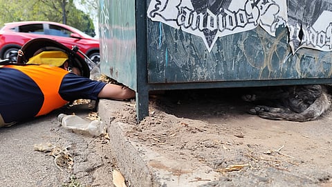 Rescatan a perrita atrapada bajo contenedor en Morelia