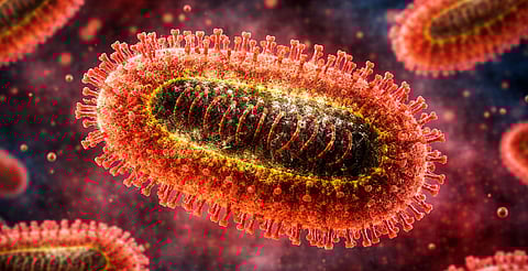 Se detectó contagio entre humanos; hay casi 100 personas en cuarentena