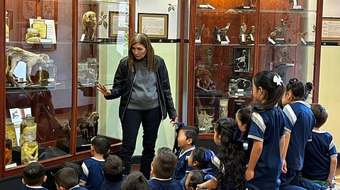 Museo de Historia Natural de la UMSNH reabre en fines de semana