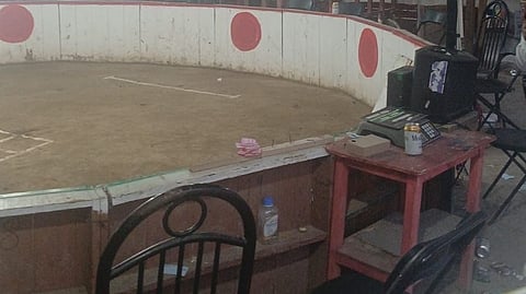 ¡Operativo sorpresa en Morelia! Desmantelan palenque ilegal con más de 80 asistentes