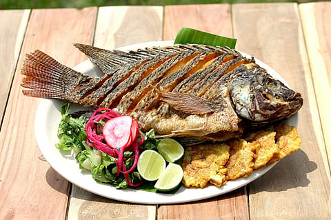 Tilapia, mojarra y atún: los pescados más populares en Cuaresma