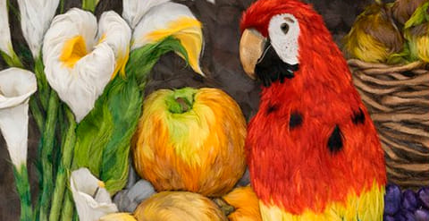 plumas