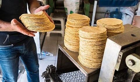 Venta de tortillas en hieleras no puede ser sancionada por Profeco, aclara dependencia