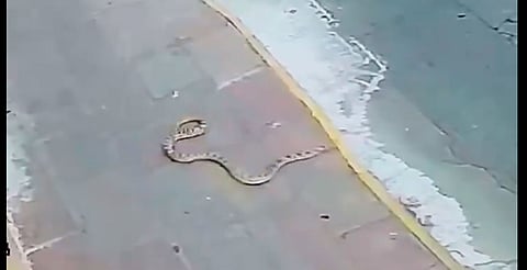 Vecinos confirmaron que no se han registrado nuevos incidentes