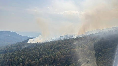 Reportan fuerte incendio forestal en desarrollo en Salvador Escalante, Michoacán