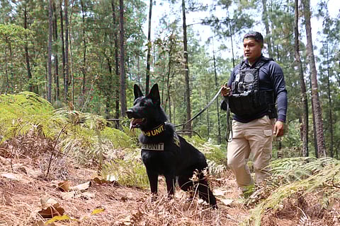 FGE realiza operativo aéreo y terrestre en Villa Madero por denuncias ambientalistas