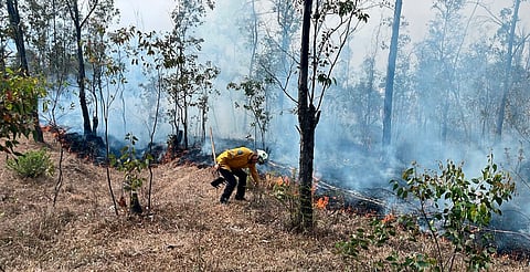 Combaten incendio en La Campiña, Morelia; brigadas trabajan en la zona