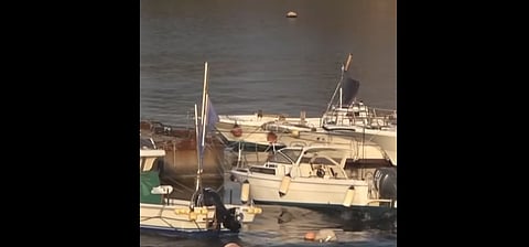 SRE: ‘No hay mexicanos afectados’ tras sismo en Japón